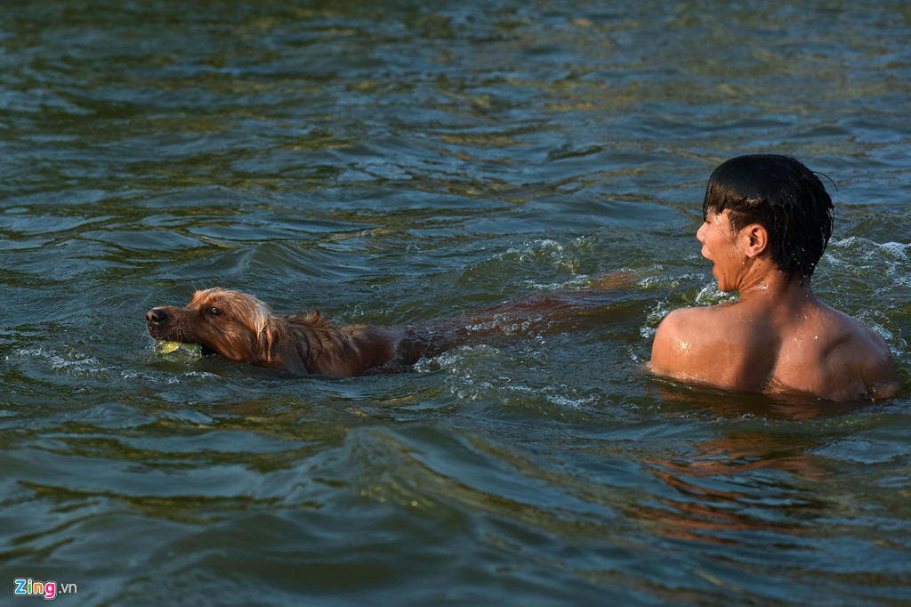 Anh Xuân (Xuân Đỉnh, Hà Nội) đùa với chú chó Golden.