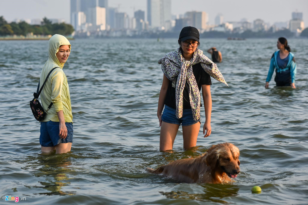 Nhiều người dẫn thú cưng ra đây chơi và giải nhiệt.