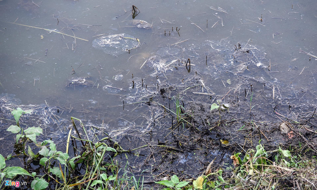 Dòng nước thải màu xanh đen rỉ ra từ miệng cống xả chảy trực tiếp xuống mặt nước.