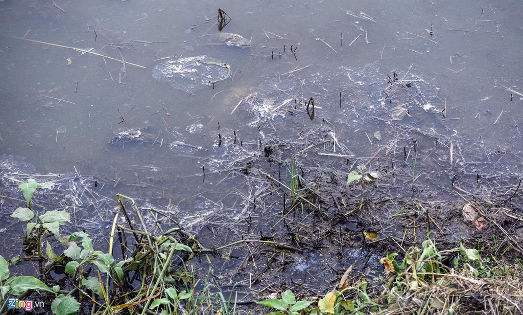 Dòng nước thải màu xanh đen rỉ ra từ miệng cống xả chảy trực tiếp xuống mặt nước.