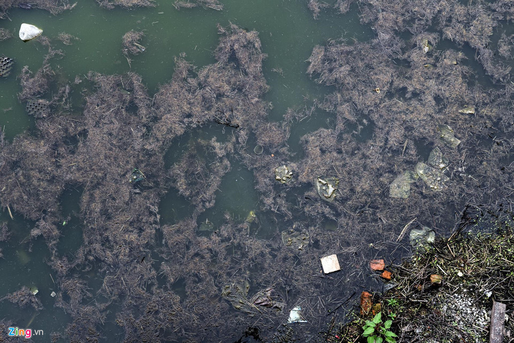 Những ngày nắng nóng, nước hồ cạn trơ đáy, lộ ra nhiều bèo và rác thải. Người dân cho biết gần một năm từ khi khánh thành, hồ điều hòa Nhân Chính không được nạo vét và vệ sinh nên ô nhiễm.