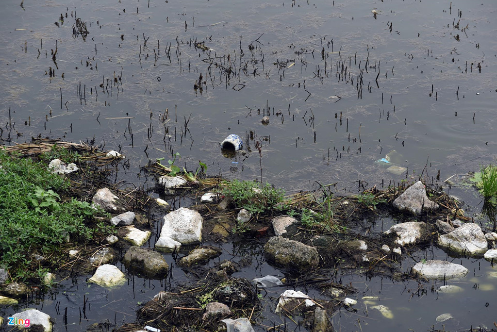 Rác thải gồm túi nylon, xốp, bát hương... nổi đầy mặt nước làm ảnh hưởng đến cảnh quan của công viên.