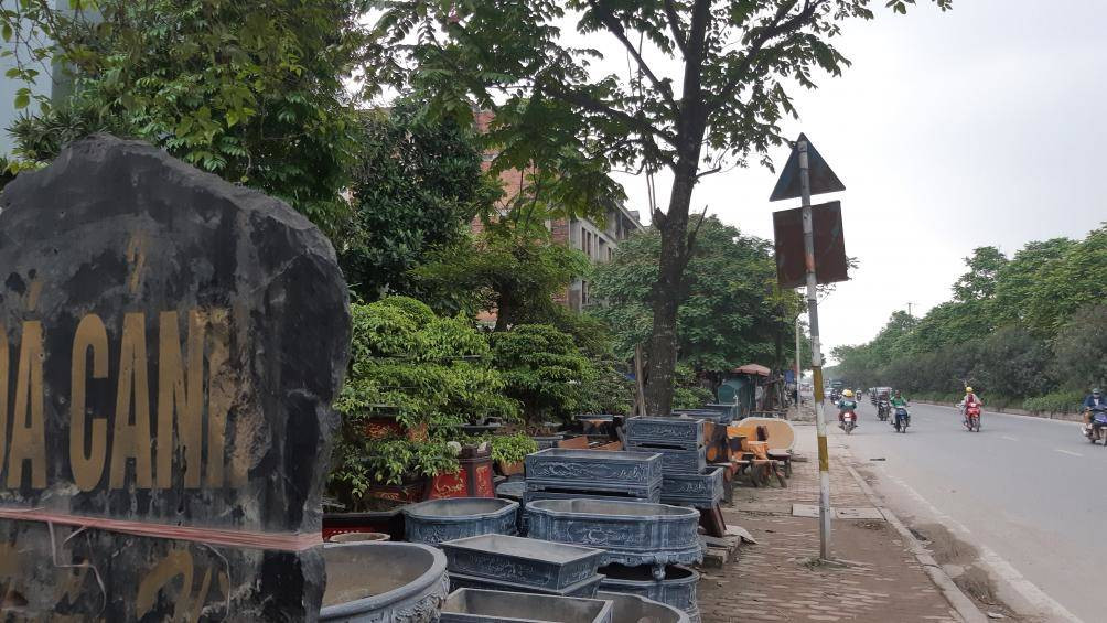 Rất nhiều cây cảnh, chậu cảnh cũng được trưng bày trên vỉa hè.