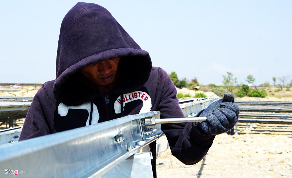 Chiem nguong 'canh dong dien' lon nhat Viet Nam-Hinh-5