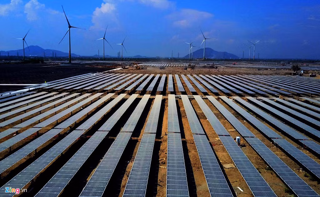 Chiem nguong 'canh dong dien' lon nhat Viet Nam-Hinh-2