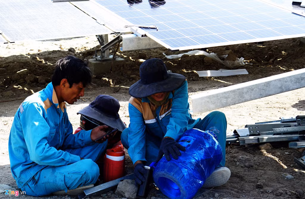 Chiem nguong 'canh dong dien' lon nhat Viet Nam-Hinh-6