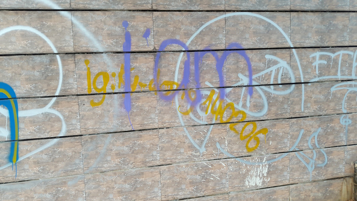 Một người dân thường xuyên tập thể dục tại công viên cho biết, việc dùng sơn bôi bẩn bờ tường như trên đã diễn ra từ khoảng 3 năm trước. Gần đây, việc vẽ sơn đã tái diễn, kéo dài hơn trên bờ tường dự án.