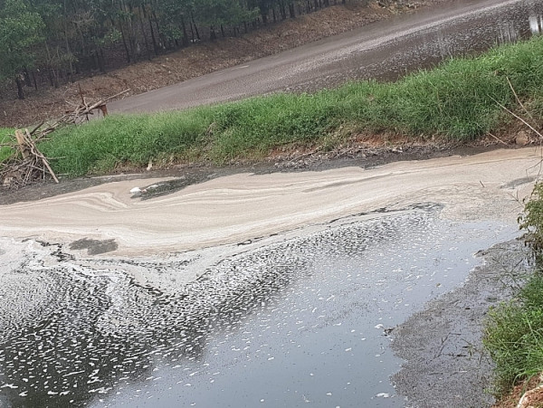 Nha dau tu Trung Quoc chuan bi xay nha may xu ly rac tai TP Bac Giang-Hinh-2