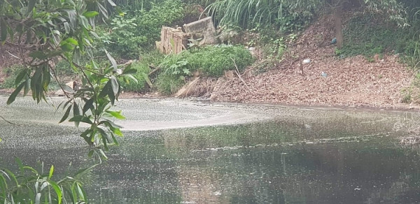 Nha dau tu Trung Quoc chuan bi xay nha may xu ly rac tai TP Bac Giang-Hinh-3