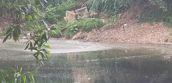 Nha dau tu Trung Quoc chuan bi xay nha may xu ly rac tai TP Bac Giang-Hinh-3