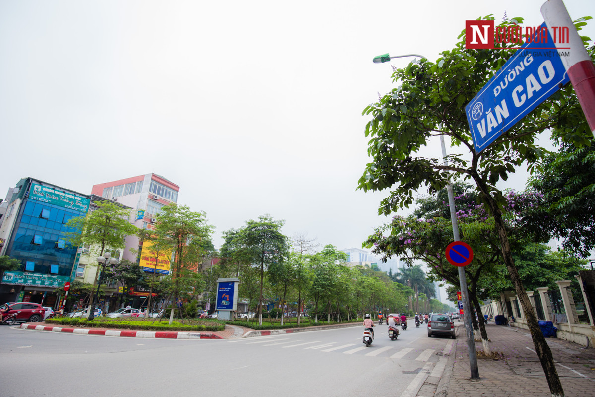 Cùng với đó là kết hợp chỉnh trang cây xanh, thảm cỏ trên địa bàn quận Ba Đình.