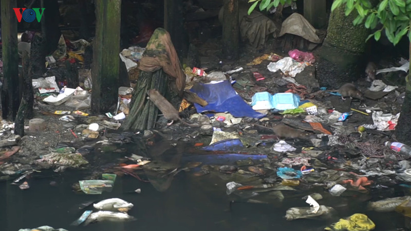 Còn mùa khô, nước cạn, mùi hôi thối bốc nồng nặc.