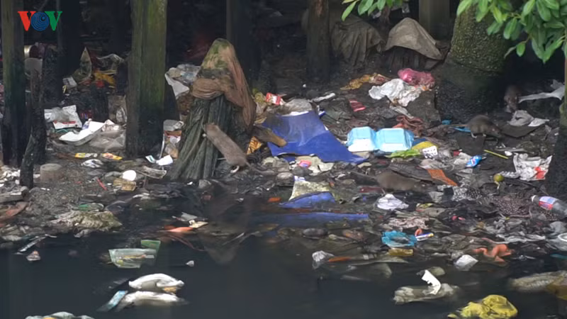 Còn mùa khô, nước cạn, mùi hôi thối bốc nồng nặc.