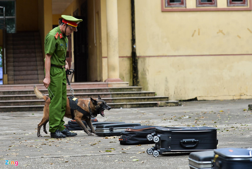 Trong bài thi tìm kiếm ma túy, mỗi chó nghiệp vụ chỉ mất vài giây là có thể xác định chính xác vali có chất cấm. Khi phát hiện ma túy, chó nghiệp vụ sẽ sủa liên tục hoặc cào bới để báo hiệu.