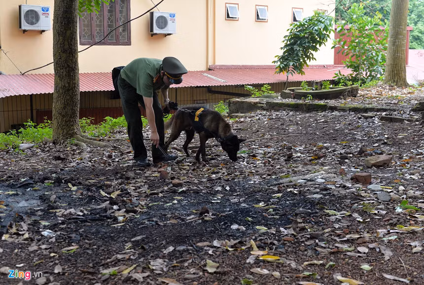 Chó nghiệp vụ còn được thử thách bằng việc tìm thuốc nổ trên các bãi đất. Đây là nhiệm vụ lực lượng cảnh vệ vẫn thực hiện trước các cuộc đón tiếp nguyên thủ.