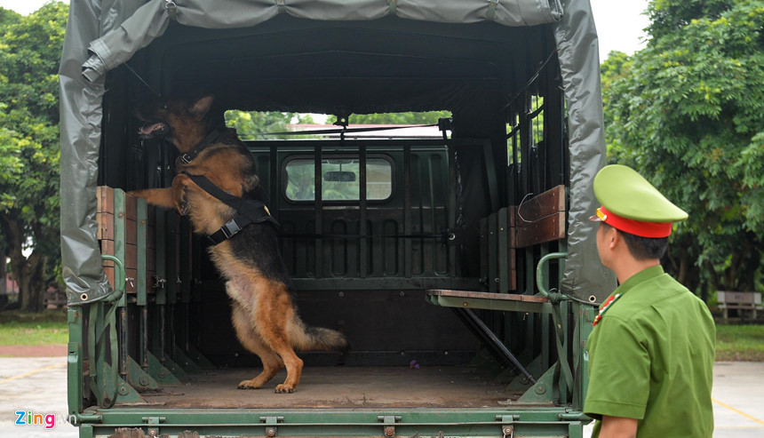 Vòng sơ khảo thu hút 280 "thí sinh" từ 48 đơn vị tham gia, gồm trung tâm huấn luyện và sử dụng động vật nghiệp vụ - Bộ Tư lệnh CSCĐ và các trại giam, đơn vị thuộc công an các tỉnh, thành phố...