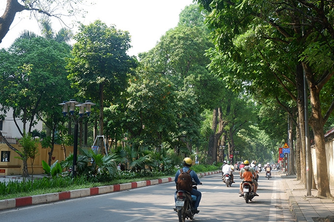 Phố Nguyễn Tri Phương cũng có nhiều cây xanh tòa bóng mát