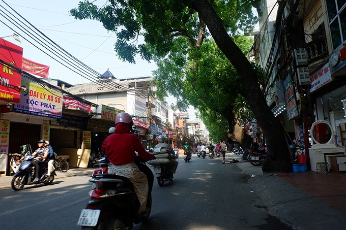 Tại đường Đê La Thành nơi đây sở hữu nhiều cây xanh lâu năm, tỏa tán rộng