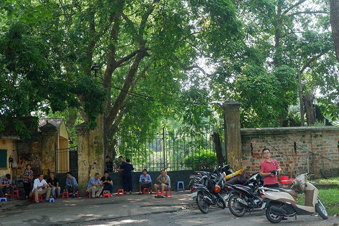 Tại con phố đầy cây này lý tưởng nhất là thưởng thức một cốc trà đá dưới tán lá xanh