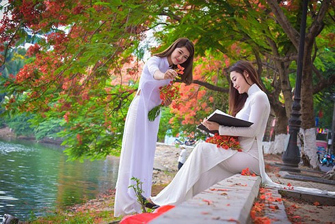 Những thiếu nữ Hà Nội hồn nhiên, mơ màng trong tà áo dài trắng tinh khôi bên sắc đỏ thắm của phượng hè.