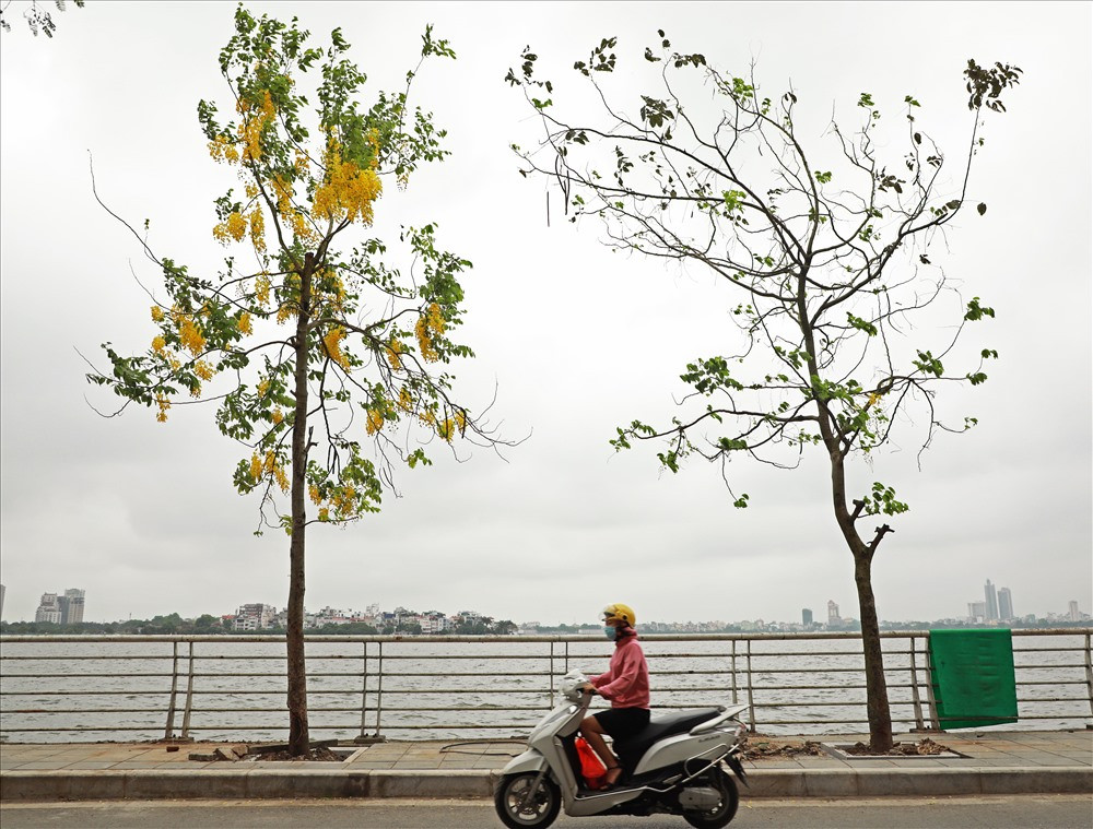 Duong ven ho Tay nhu duoc “dat vang” boi muong hoang yen-Hinh-6