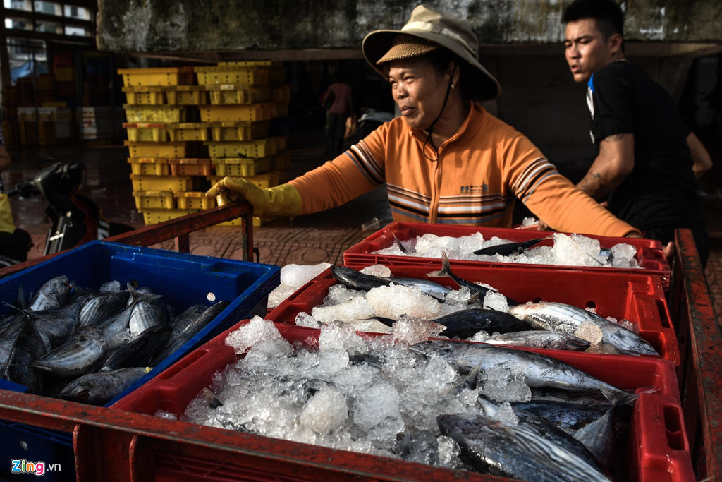 Cảng cá Quy Nhơn là nơi có nhiều người nghèo Bình Định mưu sinh từ nghề thu mua, sơ chế hấp cá, mực... đưa đi bán ở chợ lẻ các tỉnh miền Trung, Tây Nguyên.