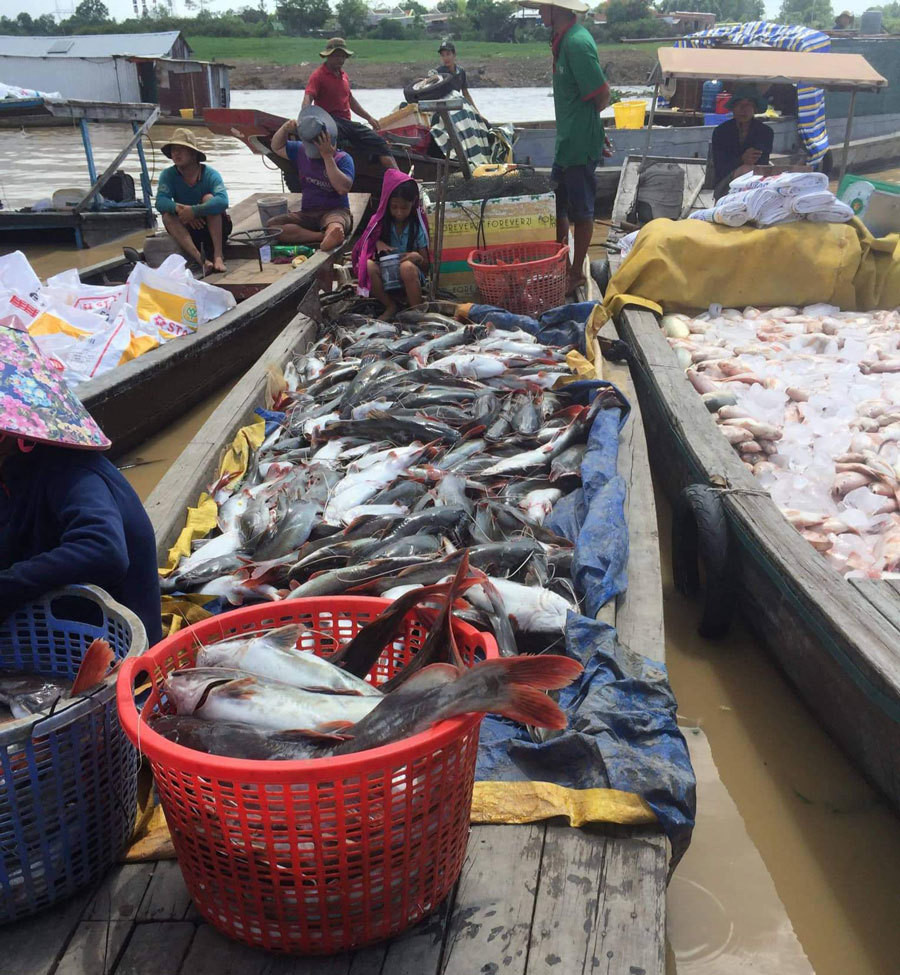 Sau nha may AB Mauri gay hoi khap vung, hang chuc tan ca chet trang song-Hinh-2