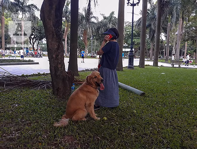 Có chủ chó còn đùa cợt “Có thì nó chỉ cắn một nhát thôi”