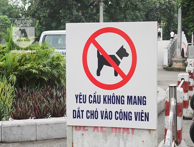 Cổng vào công viên Thống Nhất đã đặt biển cấm, nhưng người dân vẫn vô tư dắt chó vào đi dạo
