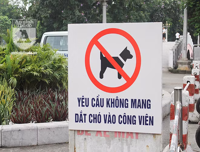 Cổng vào công viên Thống Nhất đã đặt biển cấm, nhưng người dân vẫn vô tư dắt chó vào đi dạo