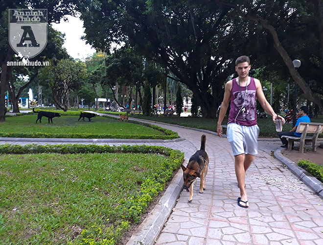 Nhiều chủ cho rằng chó là vật nuôi quen thuộc, thân thiết với gia đình nên coi thường việc rọ mõm cho chó mỗi khi thả ra ngoài