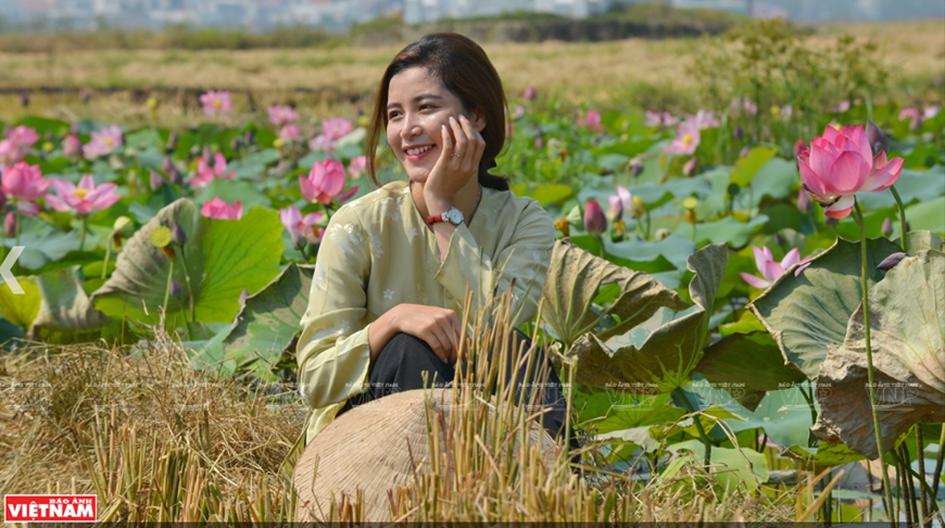 Thiếu nữ Huế đằm thắm khoe sắc cùng sen. (Ảnh: Thanh Hòa)
