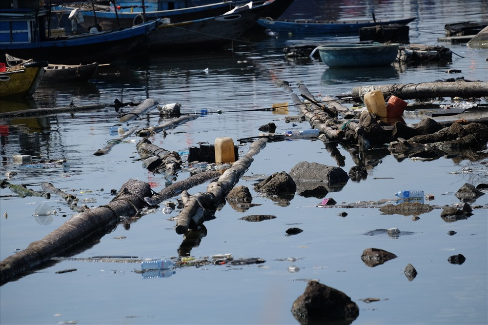 Au thuyen lon nhat Da Nang bi rac thai bua vay-Hinh-12