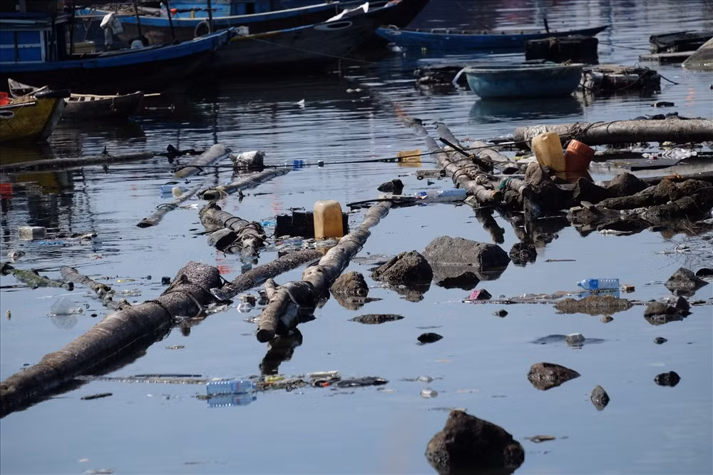 Au thuyen lon nhat Da Nang bi rac thai bua vay-Hinh-12