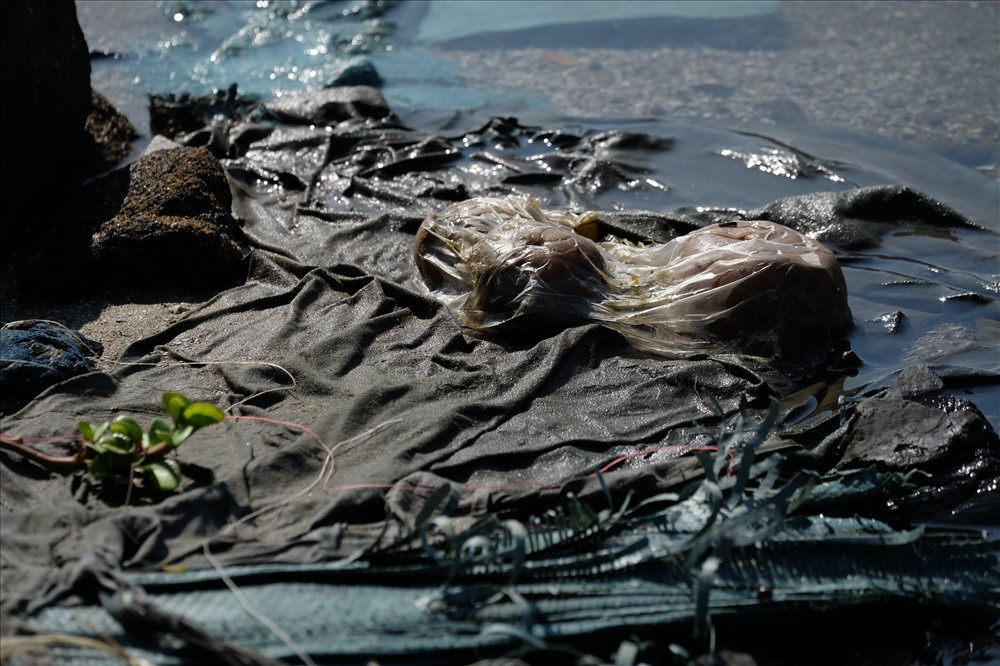 Au thuyen lon nhat Da Nang bi rac thai bua vay-Hinh-7