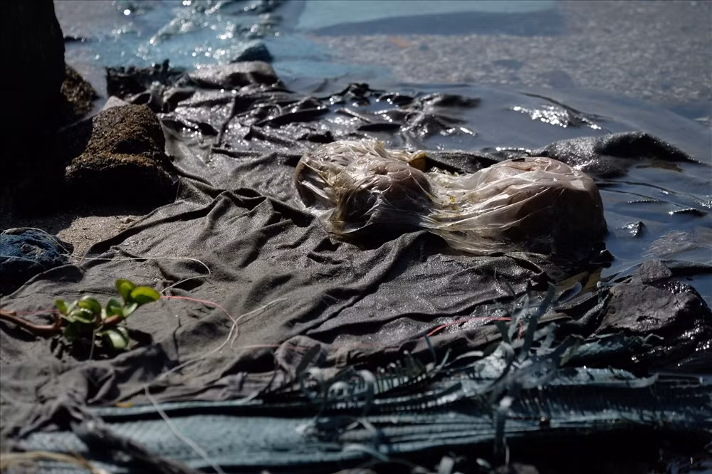 Au thuyen lon nhat Da Nang bi rac thai bua vay-Hinh-7