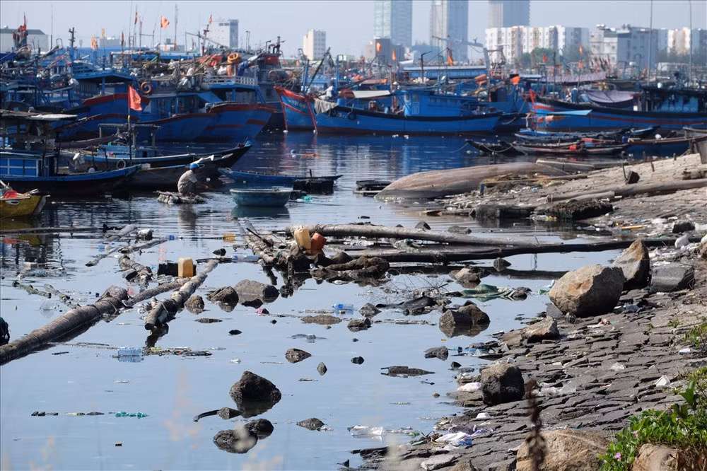 Au thuyen lon nhat Da Nang bi rac thai bua vay-Hinh-11