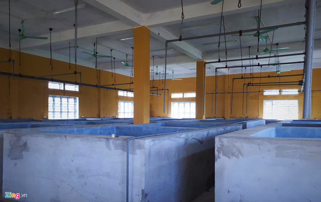 Các bể bê tông cùng hệ thống ống dẫn, điện, quạt đầy đủ được trang bị cho việc thực hành song không sử dụng đến.