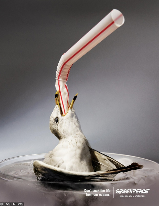 20 buc anh moi truong khien con nguoi thang thot-Hinh-14