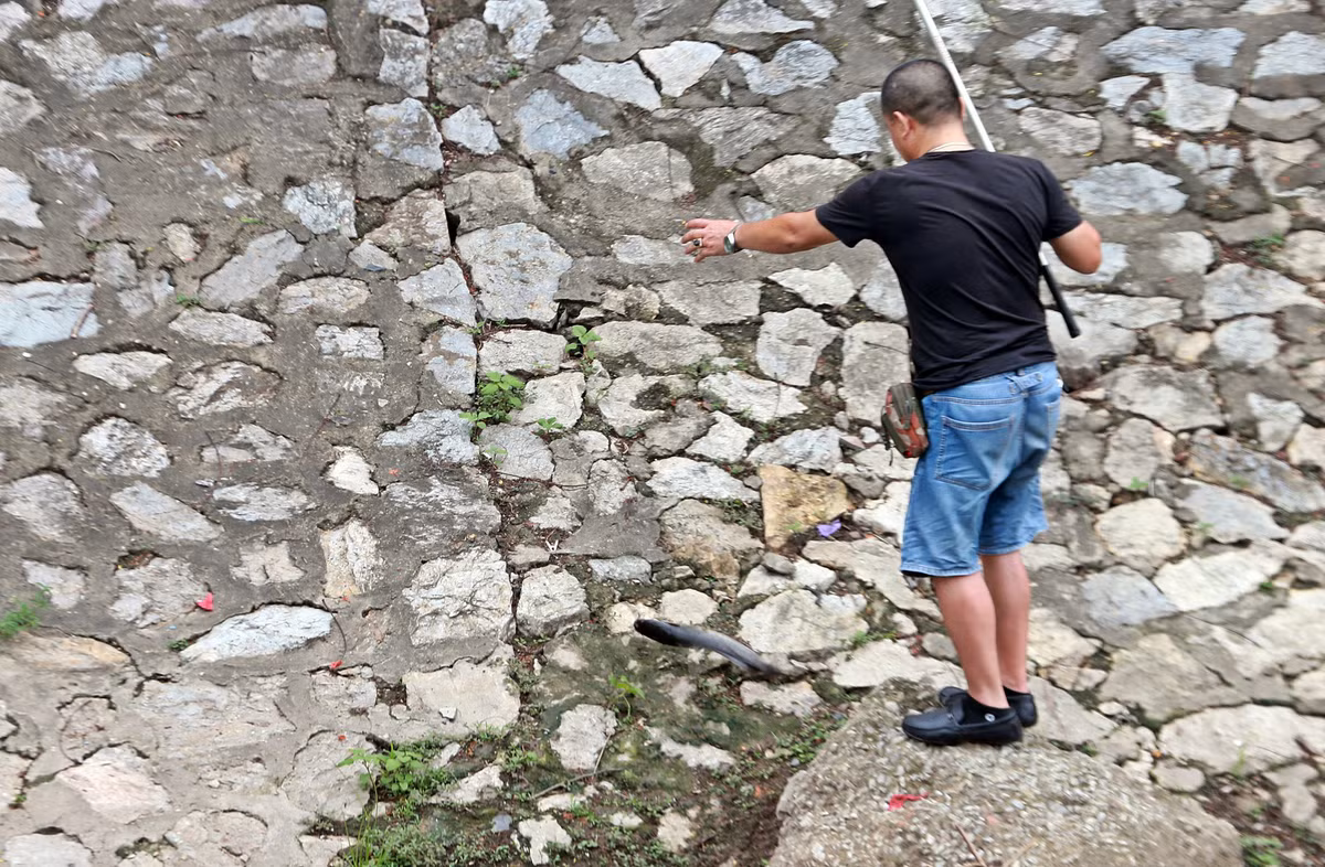 Tai sao nguoi dan ong cau ca tren song To Lich lam ca Ha Noi xon xao?-Hinh-6