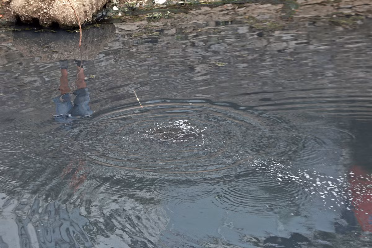 Tai sao nguoi dan ong cau ca tren song To Lich lam ca Ha Noi xon xao?-Hinh-5