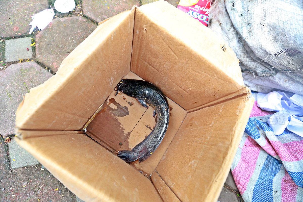 Tai sao nguoi dan ong cau ca tren song To Lich lam ca Ha Noi xon xao?-Hinh-14