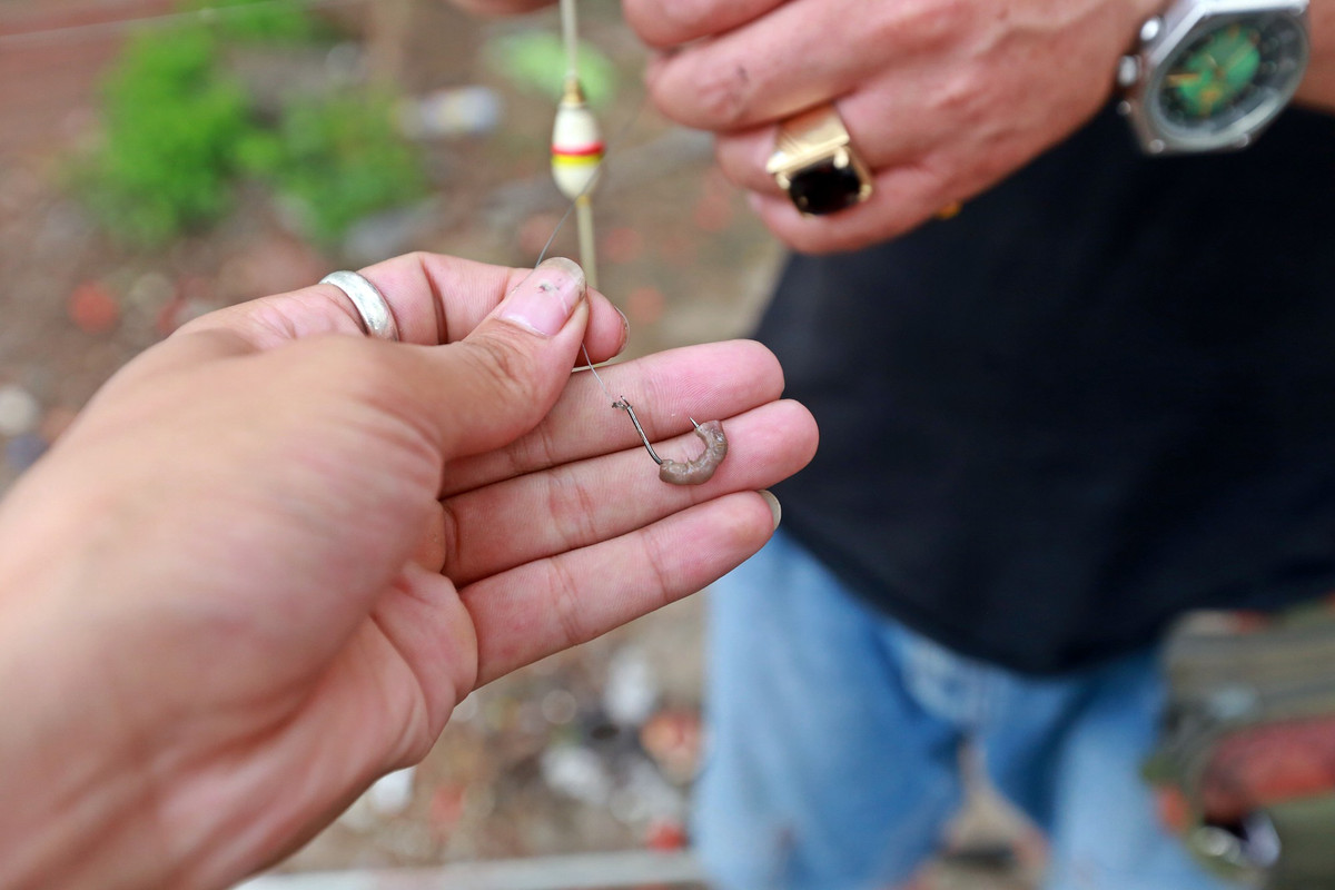 Tai sao nguoi dan ong cau ca tren song To Lich lam ca Ha Noi xon xao?-Hinh-2