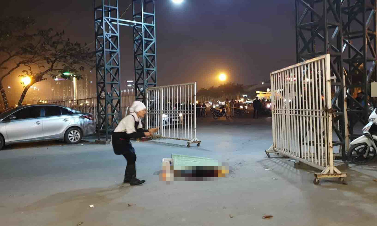 Sau 5 ngày tích cực điều tra, 19h40 ngày 3/2, các trinh sát hình sự của 3 lực lượng (Cục CSHS - Bộ Công an, Phòng CSHS Công an TP Hà Nội, Đội CSHS Công an quận Nam Từ Liêm) đã bắt giữ Nguyễn Cảnh An (SN 16/8/1999, trú tại xã Tràng Sơn, huyện Đô Lương, tỉnh Nghệ An), khi đối tượng đang lẩn trốn ở Hòa Bình.