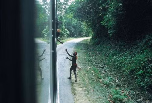 Tham kich “vuon thu nguoi” tren dao tu than?