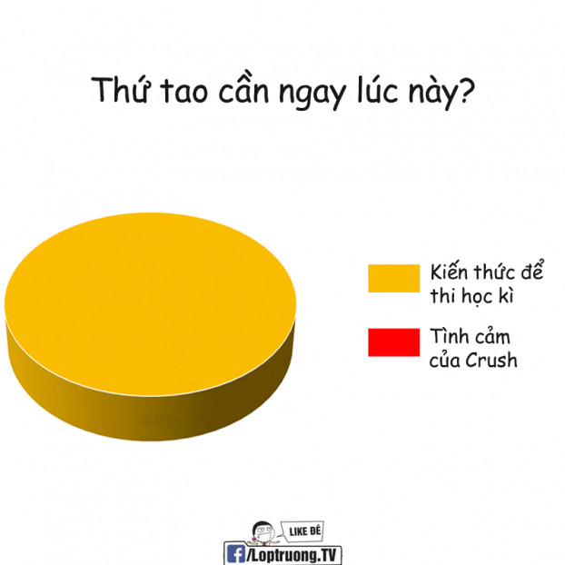 Học hành là quan trọng nhất