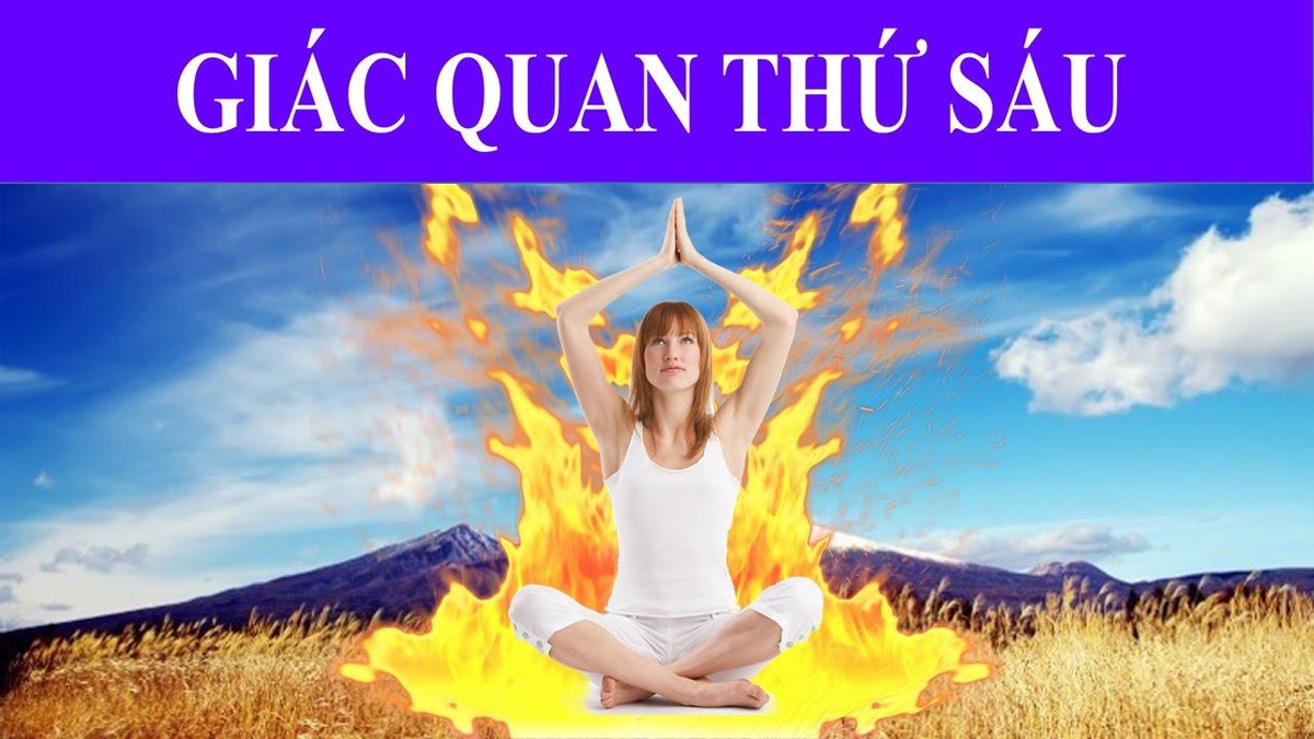 Ca truc 11 - Tiet lo nhung su that ve 