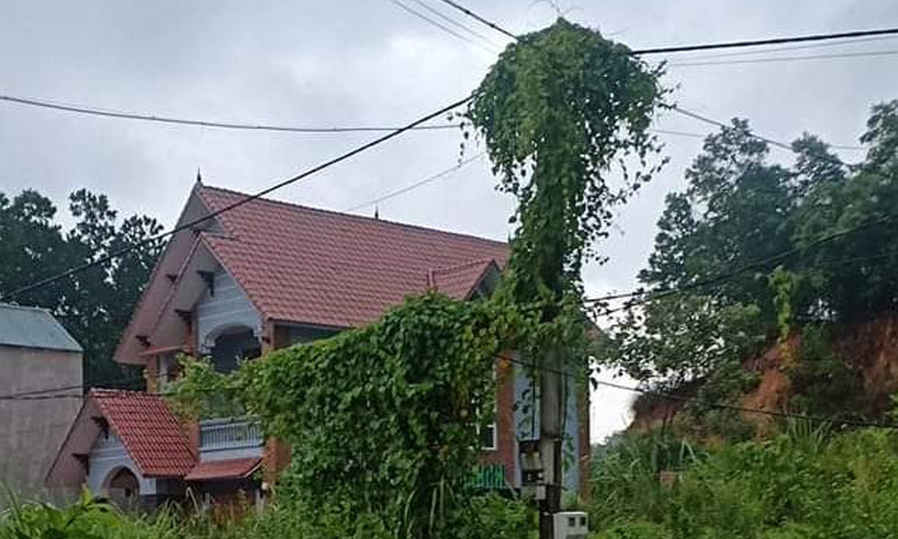 Hang tram ho dan o Thanh Hoa bi chay tivi, tu lanh do dien chap chon-Hinh-3