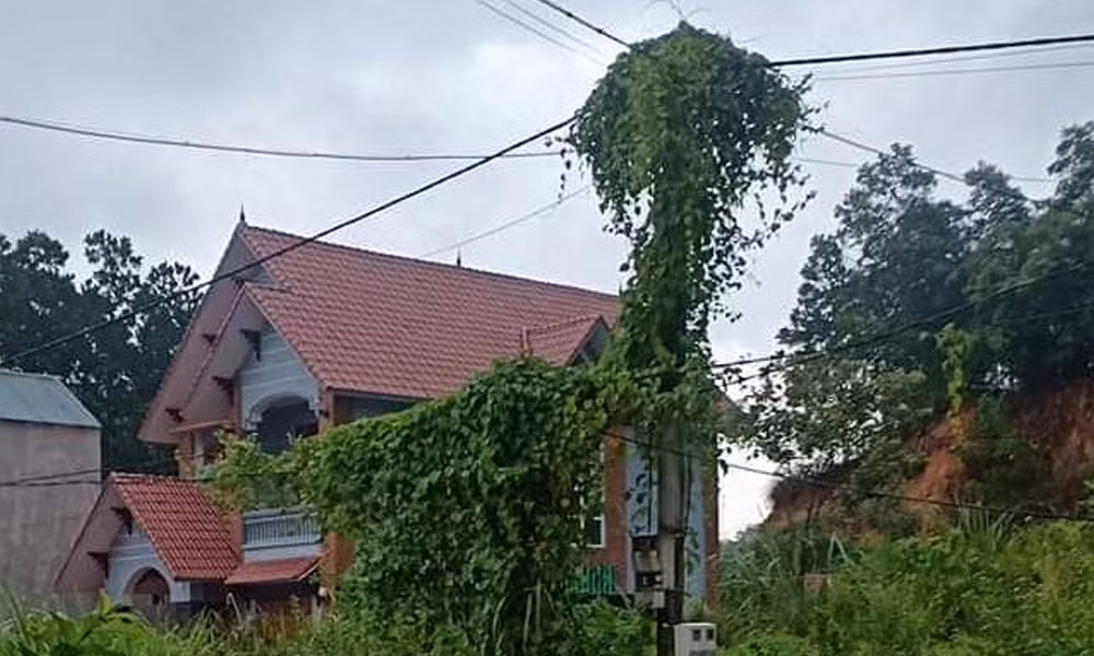 Hang tram ho dan o Thanh Hoa bi chay tivi, tu lanh do dien chap chon-Hinh-3