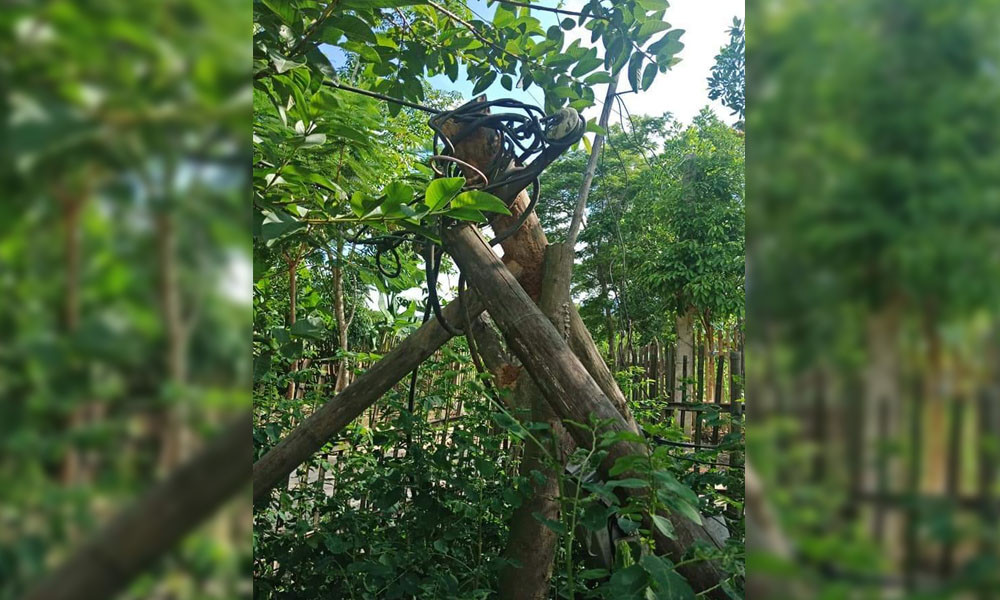 Hang tram ho dan o Thanh Hoa bi chay tivi, tu lanh do dien chap chon-Hinh-2